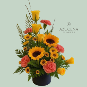 Box Claveles y Girasoles