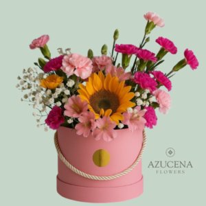 Box con Claveles y Girasol