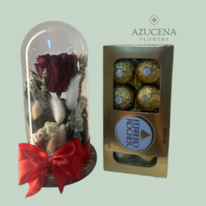 Rosa Preservada + Chocolate Ferrero Rocher de 100g