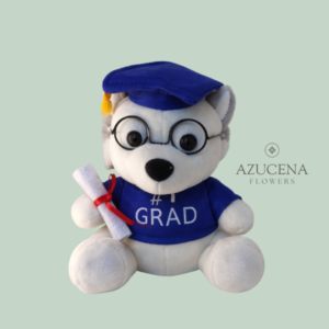 Peluche de Graduacion