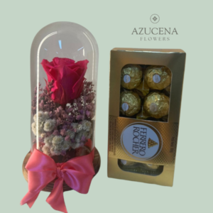 Rosa Preservada y Dulzura