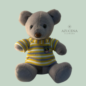 Peluche de Oso con Polera