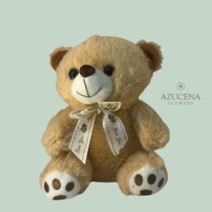 Oso de Peluche Color Crema