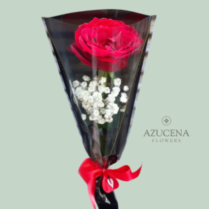 Rosa Roja con Fino Envoltorio