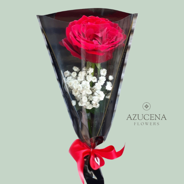 Rosa Roja con Fino Envoltorio