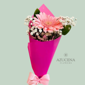 Gerbera con Fina Envoltura