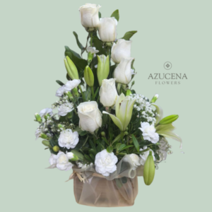 Rosas Blancas en Escala