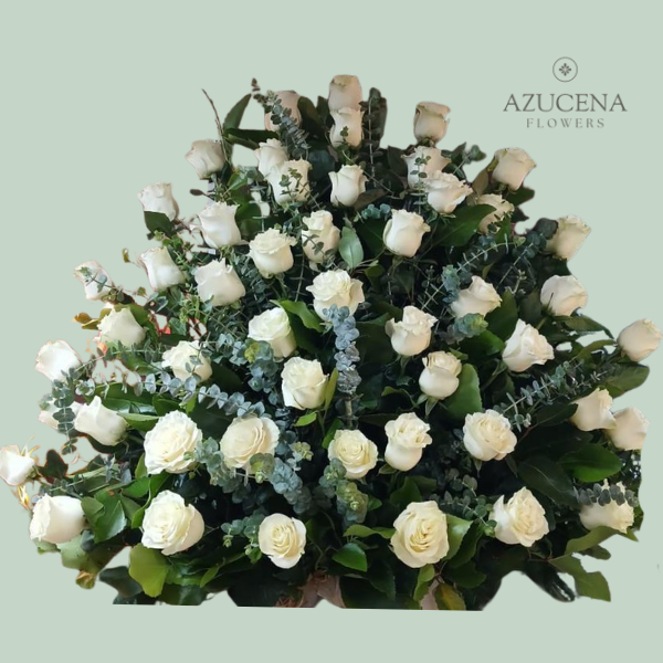 Arreglo con 50 Rosas Blancas