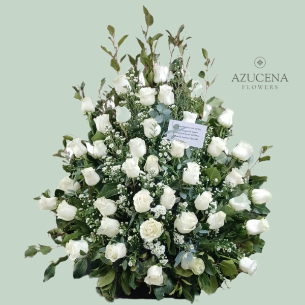 Arrimo Premium de Condolencias