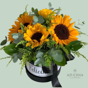 Box con Girasoles
