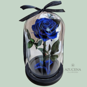 Rosa Preservada Azul