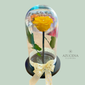 Rosa Preservada Amarilla