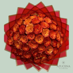 Ramo Premium de 50 Rosas