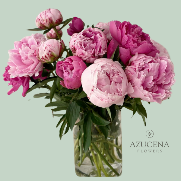 Florero con Peonias